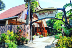 BING-VICE Tourist Inn